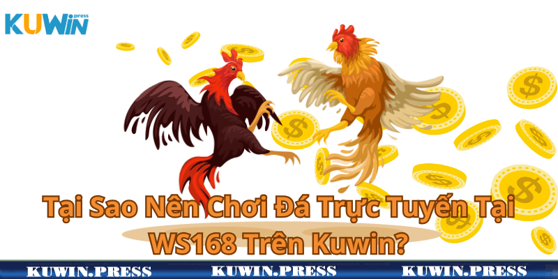 Tại Sao Nên Chơi Đá Trực Tuyến Tại WS168 Trên Kuwin